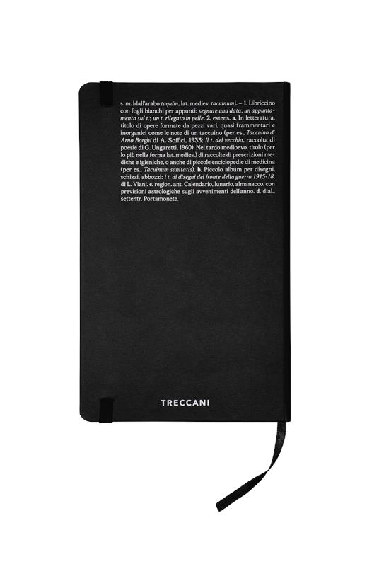 Taccuino Nero, Bianco a Righe Grande - 2