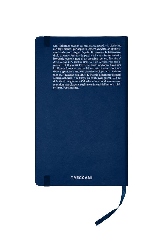 Taccuino Blu, Bianco a Righe Grande - 2