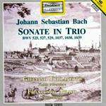 Sonate a 3 BWV525, BWV527, BWV529, BWV1037, BWV1038