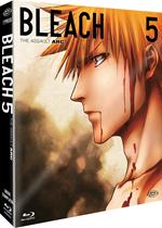 Bleach - Arc 5: The Assault (Eps. 92-109) (3 Blu-ray) (First Press)