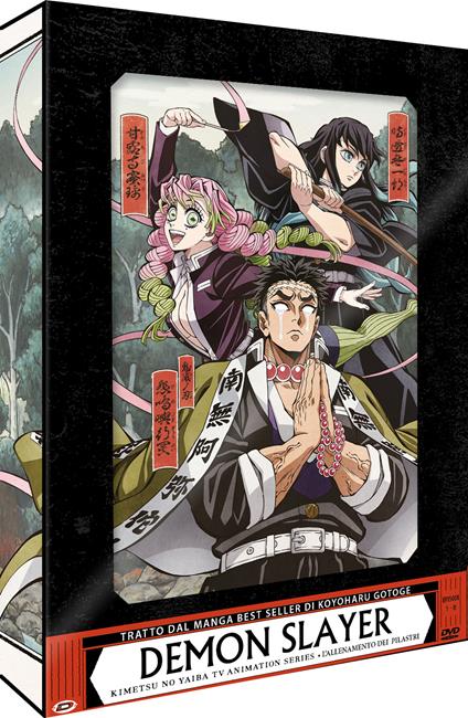 Demon Slayer - Limited Edition Box #06 - L'Allenamento Dei Pilastri (Eps 01-08) (2 Dvd) di Haruo Sotozaki - DVD