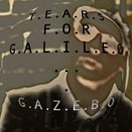 Tears For Galileo