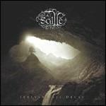 Irreversible Decay - CD Audio di Saille