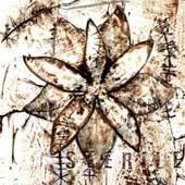 Sterile - CD Audio di Infection Code