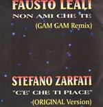 Non Ami Che Te (Gam Gam Remix) / C'e' Che Ti Piace (Original Version)