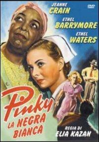 Pinky, la negra bianca di Elia Kazan - DVD