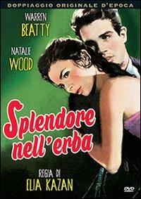 Splendore nell'erba di Elia Kazan - DVD