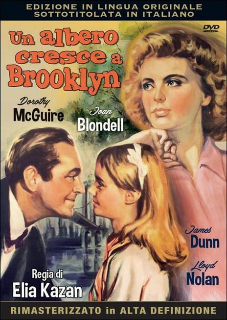 Un albero cresce a Brooklyn di Elia Kazan - DVD