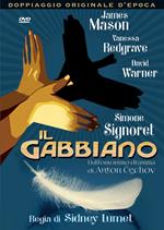 Il gabbiano (DVD)