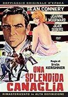 Una splendida canaglia (DVD)