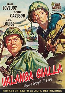 Valanga gialla (DVD) di Joseph H. Lewis - DVD