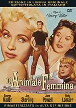 L' animale femmina (DVD)