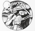 Split Album