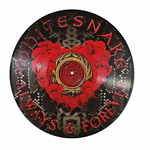 Always & Forever (Picture Disc) - Vinile LP di Whitesnake