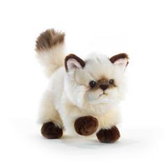 Plush Gatto Thai Siamese 21 Cm
