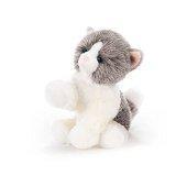 Gattino Bianco Grigio Biagio Cm 30 15864