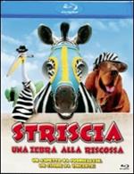 Striscia, una zebra alla riscossa