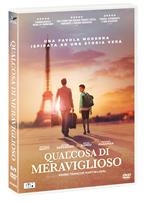 Qualcosa di meraviglioso (DVD)