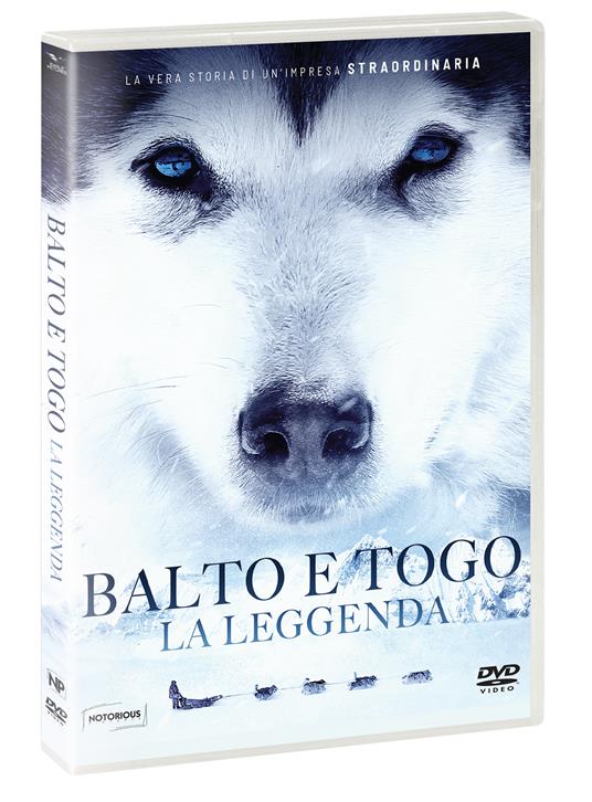 Balto e Togo. La leggenda (DVD) di Brian Presley - DVD