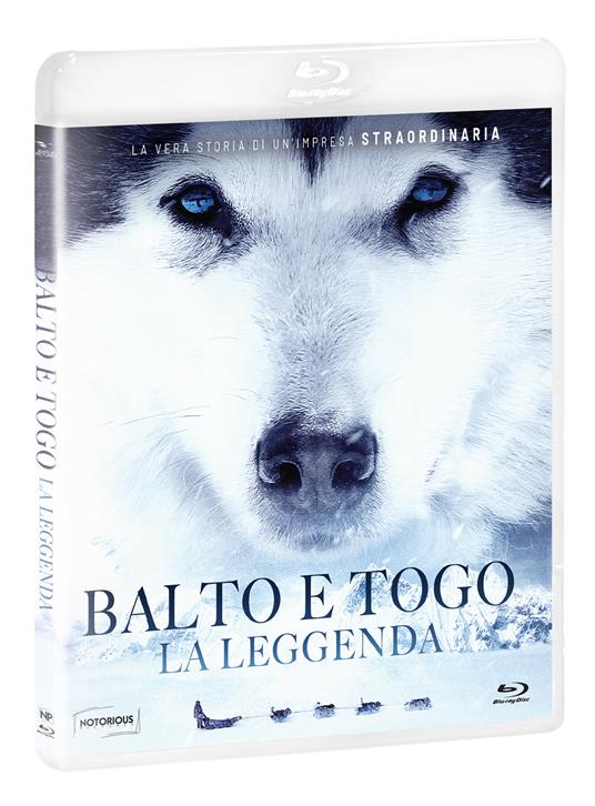 Balto e Togo. La leggenda (Blu-ray) di Brian Presley - Blu-ray