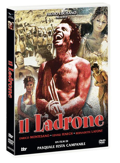 Il ladrone (DVD) di Pasquale Festa Campanile - DVD