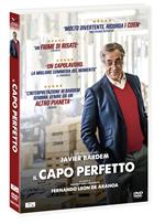 Il capo perfetto (DVD)