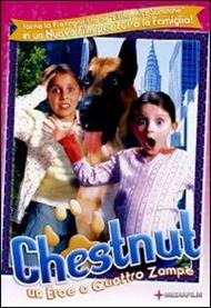 Chestnut. Un eroe a quattro zampe (DVD)