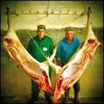 Intollerant - CD Audio di Tim Berne,Mr. Rencore