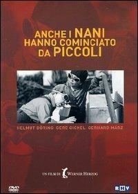 Anche i nani hanno cominciato da piccoli di Werner Herzog - DVD