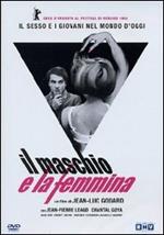 Masculin, feminin. Il maschio e la femmina (DVD)