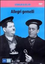 Allegri gemelli (DVD)