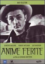 Anime ferite (DVD)