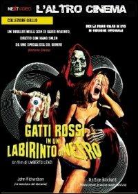 Gatti rossi in un labirinto di vetro di Umberto Lenzi - DVD