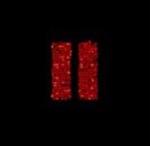 Still (Digipack)
