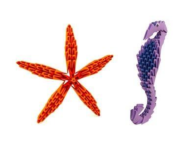 Creagami L. Kit Mare - 2