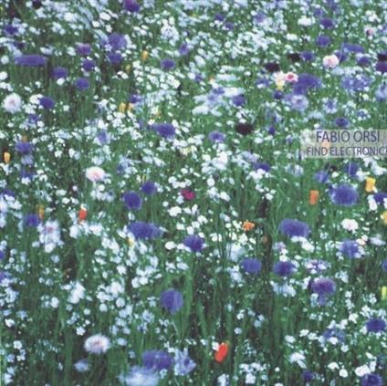 Find Electronica - CD Audio di Fabio Orsi