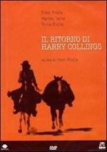Il ritorno di Harry Collings
