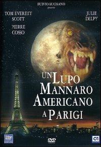 Un lupo mannaro americano a Parigi (DVD) di Anthony Waller - DVD