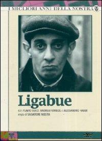 Ligabue (3 DVD) di Salvatore Nocita - DVD