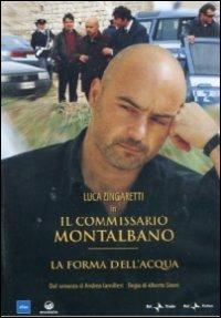 Il commissario Montalbano. La forma dell'acqua di Alberto Sironi - DVD