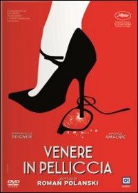 Venere in pelliccia di Roman Polanski - DVD
