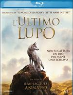 L' ultimo lupo