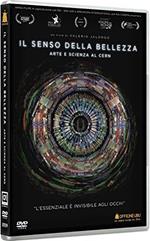 Il senso della bellezza. Arte e scienza al CERN (DVD)