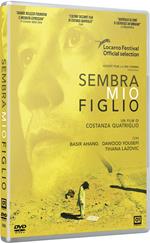 Sembra mio figlio (DVD)