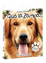 Qua la zampa 2. Un amico è per sempre (DVD + Blu-ray)