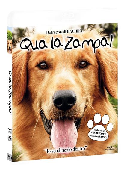 Qua la zampa 2. Un amico è per sempre (DVD + Blu-ray) di Gail Mancuso - DVD + Blu-ray