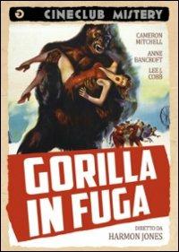 Gorilla in fuga di Harmon Jones - DVD