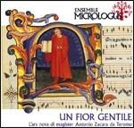 Un fior gentile. L'ars nova di magister Antonio Zacara da Teramo - CD Audio di Ensemble Micrologus,Antonio Zacara da Teramo