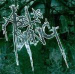 Gazing from the Abyss - CD Audio di Abel is Dying