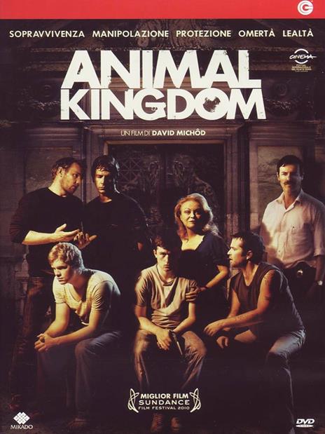 Animal Kingdom di David Michôd - DVD